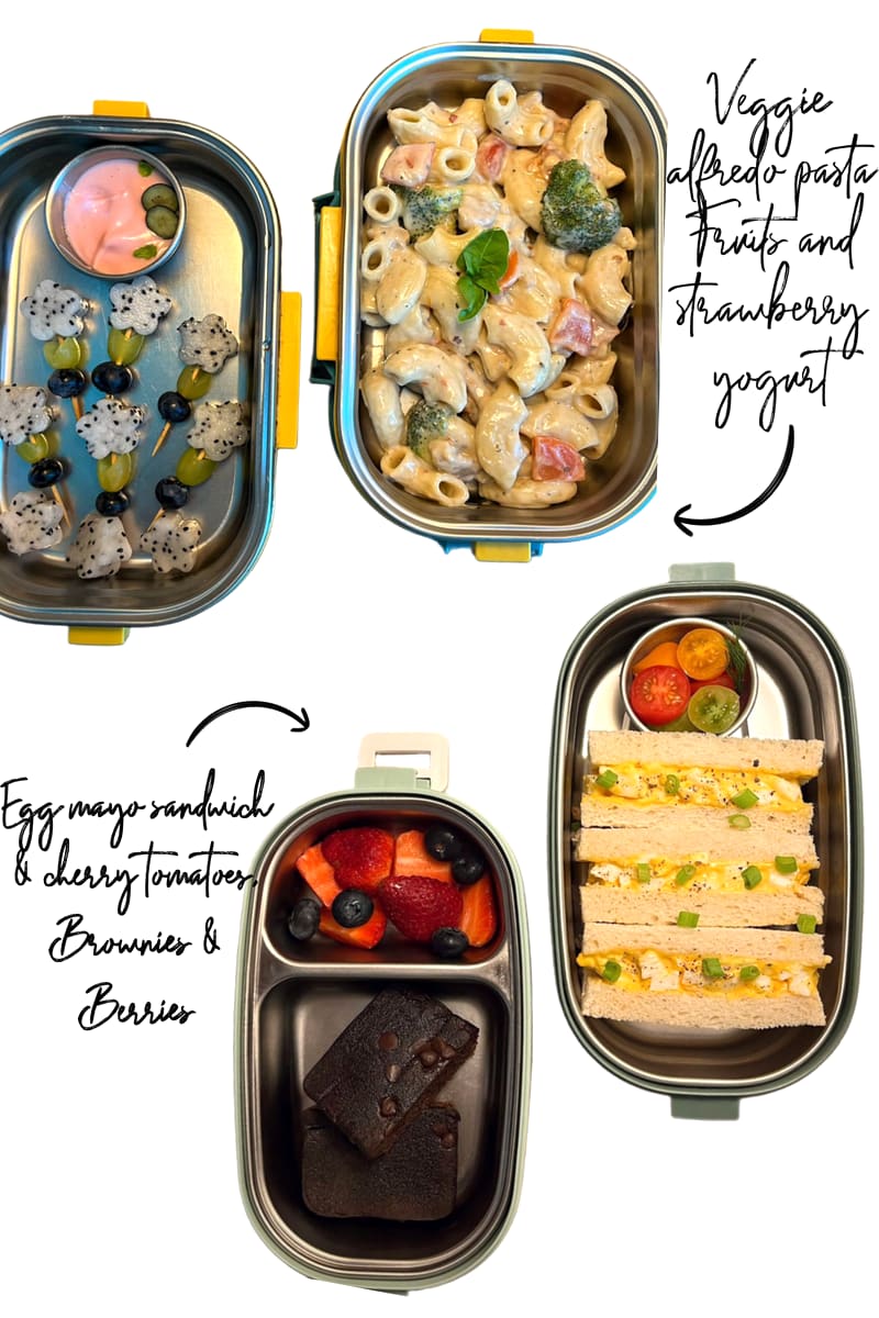 Lunchbox: Egg mayo sandwich and veggie alfredo pasta